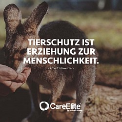 Diese Tollen Sprüche sind von     https://www.careelite.de/tierschutz-zitate-sprueche/