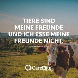 Toll