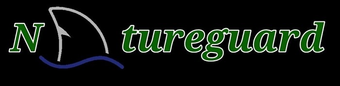 NG new logo